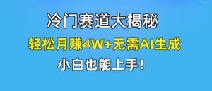 冷门赛道大揭秘，轻松月赚1W+无需AI生成，小白也能上手【揭秘】-聊项目