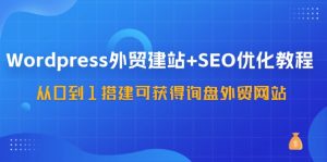 WordPress外贸建站+SEO优化教程，从0到1搭建可获得询盘外贸网站（57节课）-聊项目