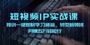 短视频IP实战课，独创一键复制学习秘籍，转战新领域，月赚五万轻松行-聊项目