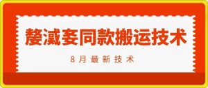 抖音96万粉丝账号【嫠㵄㚣】同款搬运技术-聊项目