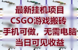 最新挂G项目，CSGO游戏搬砖，手机可做，无需电脑，当日见收益【揭秘】-聊项目