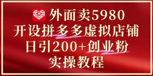 外面卖5980开设拼多多虚拟店铺：单日引流200+创业付费粉实战教程-聊项目