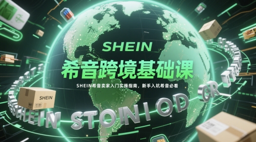 希音跨境基础课，SHEIN希音卖家入门实操指南，新手入坑希音必看-聊项目