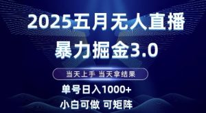 2025五月无人直播暴力掘金3.0，当天上手，当天拿结果，单号日入1k+小白可做可矩阵【揭秘】-聊项目