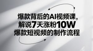 爆款背后的AI视频课，解说7天涨粉10W爆款短视频的制作流程-聊项目