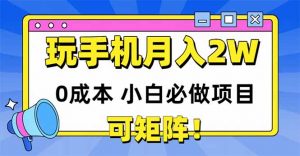 玩玩手机月入20000+，0成本小白必做项目，可矩阵-聊项目