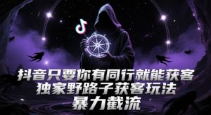 抖音只要你有同行就能获客，独家野路子获客玩法，暴力截流【揭秘】-聊项目
