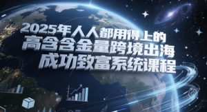 2025年人人都用得上的高含金量跨境出海成功致富系统课程-聊项目