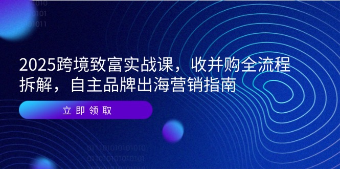 2025跨境致富实战课，收并购全流程拆解，自主品牌出海营销指南-聊项目