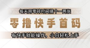 零撸快手首码，每天用零碎时间搞个一两张，有快手就能操作小白轻松上手【揭秘】-聊项目