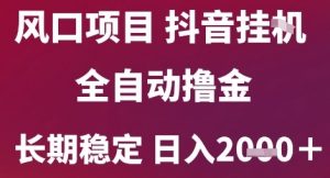 风口项目，六月最新玩法抖音无人挂G，全自动撸金，长期稳定 日入2k+【揭秘】-聊项目