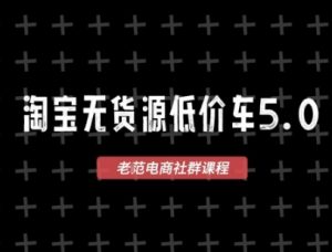 淘宝无货源2025VIP教程，​最新的淘宝无货源课程，1688代发，蓝海选品，零成本创业首选-聊项目