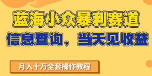 蓝海小众暴利赛道，信息查询，当天见收益，不讲玄学，7天搞了2万+-聊项目