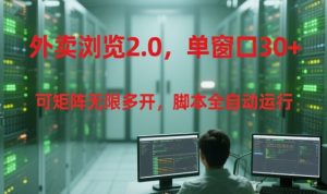 外卖浏览2.0，单窗口30+可矩阵无限多开，脚本全自动运行【揭秘】-聊项目