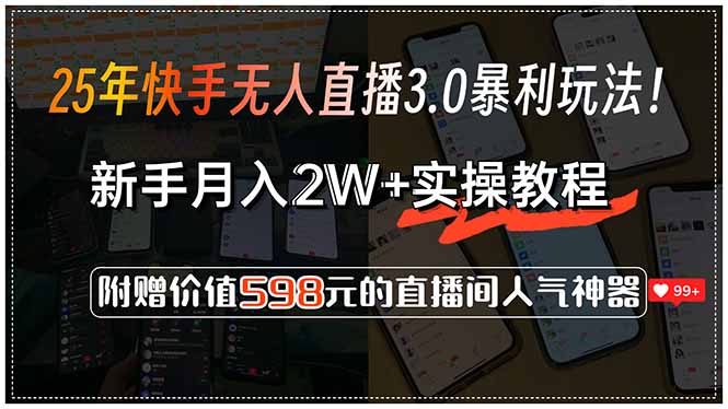 25年快手无人直播3.0暴利玩法！，新手月入2W+实操教程，附赠价值598元…-聊项目