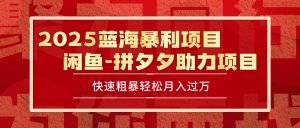 2025 最新闲鱼蓝海暴利项目 快速粗暴单号日入1000+，保姆级教程-聊项目