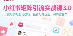 小红书矩阵引流实战课3.0：账号养号起号技巧，免裴矩阵运营，AI内容生产-聊项目