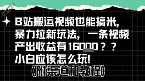 b站掘金计划？搬运视频也能挣拉新的收益，小白应该怎么玩！-聊项目