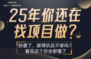 25年，你还在疯狂的找项目吗？别傻了，看完这个你都懂了【揭秘】-聊项目