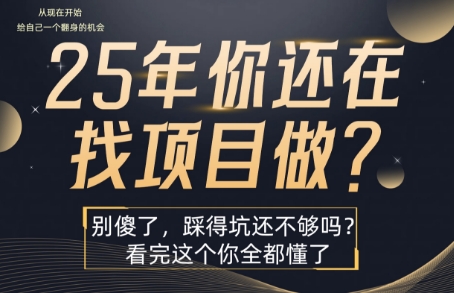25年，你还在疯狂的找项目吗？别傻了，看完这个你都懂了【揭秘】-聊项目