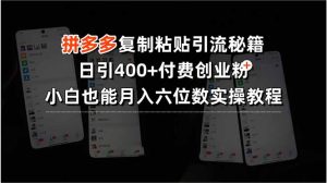 拼多多复制粘贴引流秘籍，日引400+付费创业粉，小白也能月入六位数实操…-聊项目