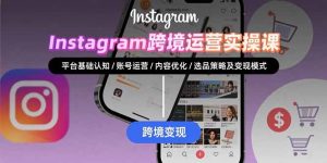 Instagram跨境运营实战：平台认知/账号运营/内容优化/选品策略及变现模式-聊项目