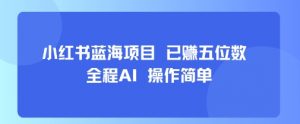 小红书蓝海项目，全程AI，操作简单，已挣五位数-聊项目