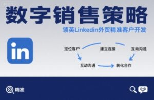 数字销售策略领英LinkedIn外贸精准客户开发-聊项目