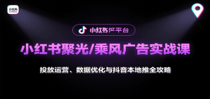 小红书聚光/乘风广告实战课：投放运营、数据优化与抖音本地推全攻略-聊项目