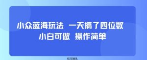 小众蓝海玩法 一天搞了四位数 小白可做 操作简单-聊项目