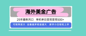 最新海外广告美金，全自动挂机，单机单日500+，可矩阵放大，新手小白轻…-聊项目
