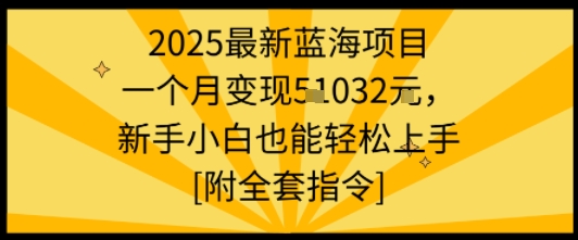 2025最新蓝海项目一个月变现1w+新手小白也能轻松上手【附全套指令】-聊项目
