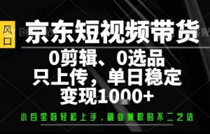 你出账号，我来运营，保底日入1k+，开启躺賺模式【揭秘】-聊项目