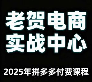 老贺电商2025年拼多多付费课程，用通俗易懂的方法告诉你多多怎么玩-聊项目