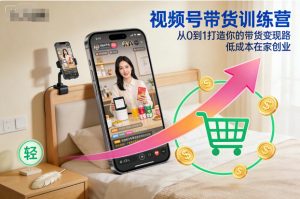 视频号带货训练营，从0到1打造你的带货变现路，低成本在家创业-聊项目