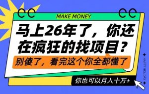 26年了，不要再疯狂的找项目了，看完这个你也可以月入十个W【揭秘】-聊项目