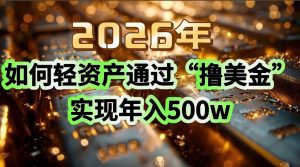 2026年如何轻资产通过“撸美金”实现年入500w-聊项目