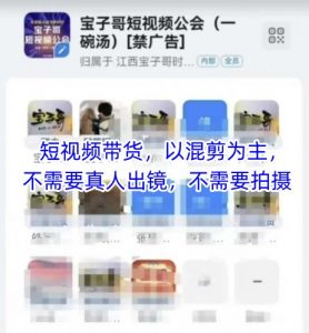 宝子哥头部团队短视频带货，以混剪为主，不需要真人出镜，不需要拍摄【更新26年1月】-聊项目
