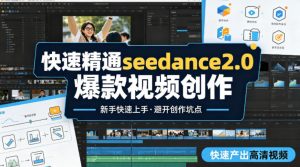快速精通seedance2.0爆款视频创作，快速产出高清视频，避开大量创作坑点，新手也能快速上手-聊项目