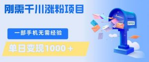 刚需千川涨粉项目，一部手机无需技术，单日变现1k+，当天做当天见收益【揭秘】-聊项目