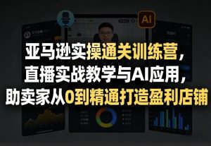 亚马逊实操通关训练营，直播实战教学与AI应用，助卖家从0到精通打造盈利店铺(更新4月17日)-聊项目