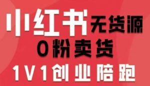 小红书无货源0粉电商课，开店准备、选品策略、笔记撰写、视频剪辑、数据分析、账号打造、资料文档(更新26年4月20日)-聊项目